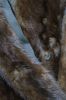 Picture of Rich Dark Brown Women's Mink Fur Coat with Cuffs for Menger Cuffs Med Length