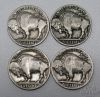 Picture of 1914-1923 Buffalo Nickels 5c Better Dates (16pcs)