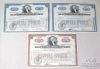 Picture of Vintage Stock Certificates  (35pcs)