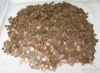 Picture of Copper-Only Lincoln Memorial Cents 1c (5000pcs/$50FV) 