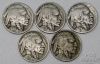 Picture of 1913-1931 Better Date Buffalo Nickels (28pcs)