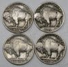 Picture of 1913-1931 Better Date Buffalo Nickels (28pcs)