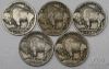 Picture of 1913-1931 Better Date Buffalo Nickels (28pcs)