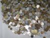 Picture of Assorted World/Foreign Pocket Change - 30lbs