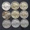 Picture of Assorted 1913-1931 Buffalo Nickels 5c (36pcs) Better Dates