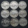 Picture of Assorted 1913-1931 Buffalo Nickels 5c (36pcs) Better Dates