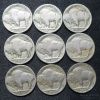 Picture of Assorted 1913-1931 Buffalo Nickels 5c (36pcs) Better Dates