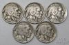 Picture of Assorted 1913-1931 Full Date Buffalo Nickels 5c (13pcs) Better Dates