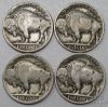 Picture of Assorted 1913-1931 Full Date Buffalo Nickels 5c (13pcs) Better Dates