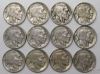 Picture of Assorted 1913-1935 Buffalo Nickels 5c (12pcs) Better Date/Better Grade