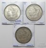 Picture of HUGE Silver Dollar VAM Variety Album - Morgan VAMs x51 & Peace VAMs x20 (71pcs)