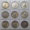 Picture of HUGE Silver Dollar VAM Variety Album - Morgan VAMs x51 & Peace VAMs x20 (71pcs)