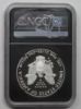 Picture of 2019-W Proof American Silver Eagle Set of 3 PF70 UltraCam NGC Signed F.D.I. 