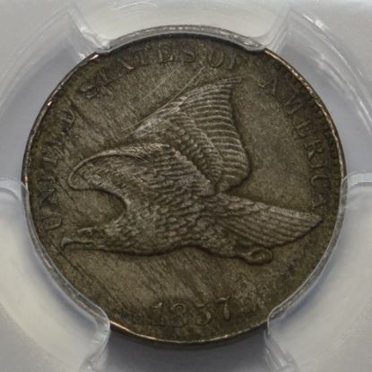 Picture of 1857 Flying Eagle Cent 1c AU Detail - Rim Damage PCGS  