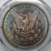 Picture of 1887/6 VAM 2 Top 100 Morgan Dollar $1 MS64 PCGS *Nice Color! 