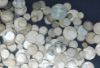 Picture of 64ozt Assorted World/Foreign Silver Coins  