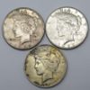 Picture of 8x 1926-1935 Better Date Peace Dollars $1  