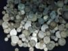 Picture of 81.4ozt Assorted World/Foreign Silver Coins 2531.35g 