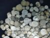 Picture of 81.4ozt Assorted World/Foreign Silver Coins 2531.35g 