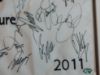 Picture of 2004 Signed Accenture Match Play Championship Flag- Woods, Fowler, Stricker, etc  