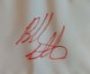 Picture of Bubba Watson Signed Fedex Cup Pin Flag 