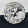 Picture of Chicago White Sox World Series Champion Waterford Crystal Paperweight  