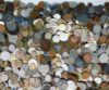 Picture of 37.84lbs Assorted World/Foreign Coins 