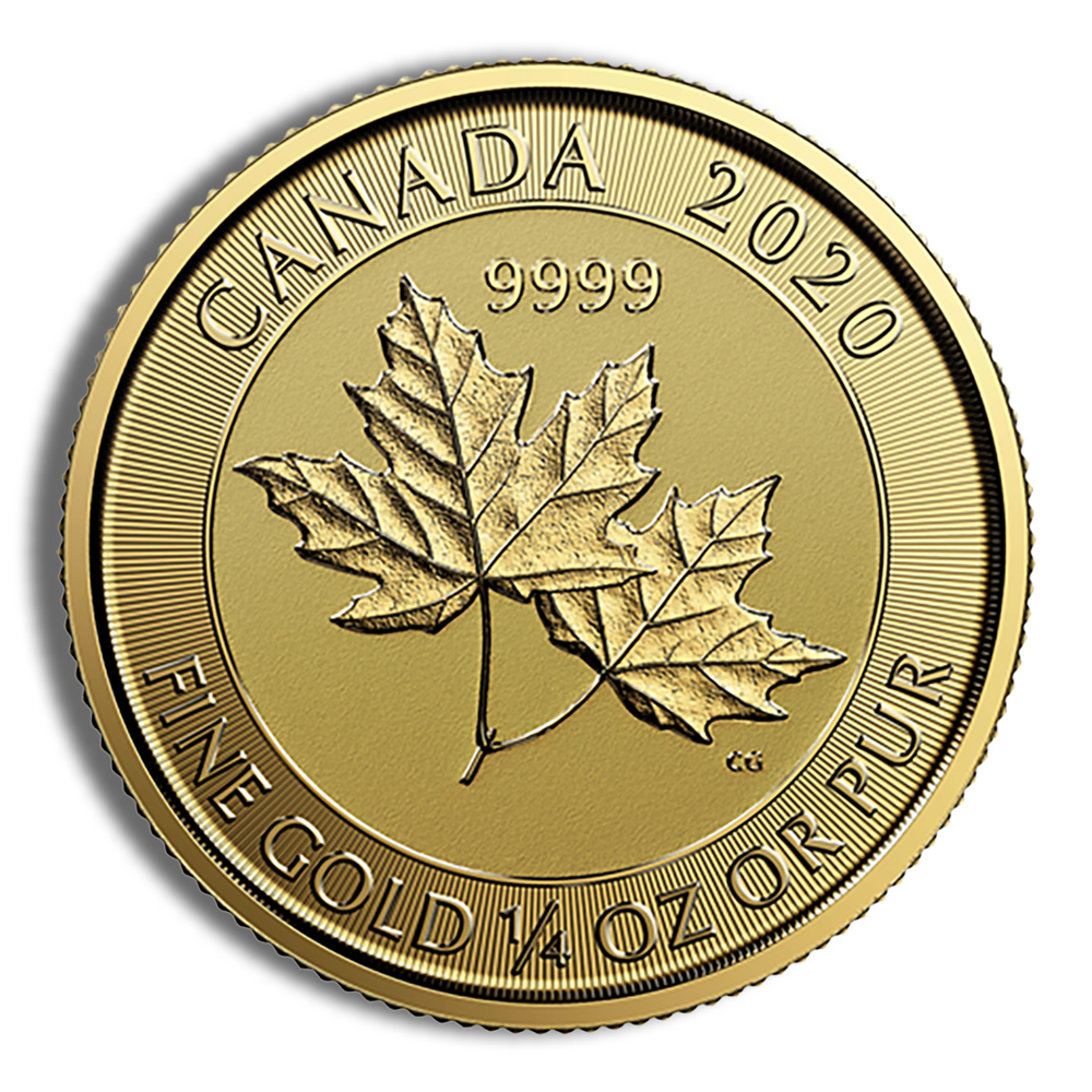 特別価格✨美✨希1.2k✨AAAAAゴールデン ガネッシュヒマール 黄金の華冠✨ 1/4 oz Gold Twin Maple Leaf (Year Varies) - PGS Gold And Coin